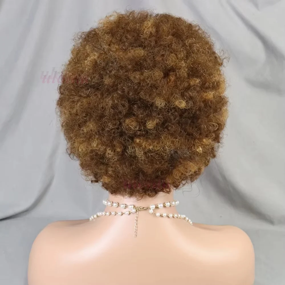 Highlight Ombre Geflochtene Perücken Echthaar Afro Puff Lace Frontal Haarperücken Afro Kinky Curly Echthaar 13x4 Lace Front Vorgeflochten – Detail 5