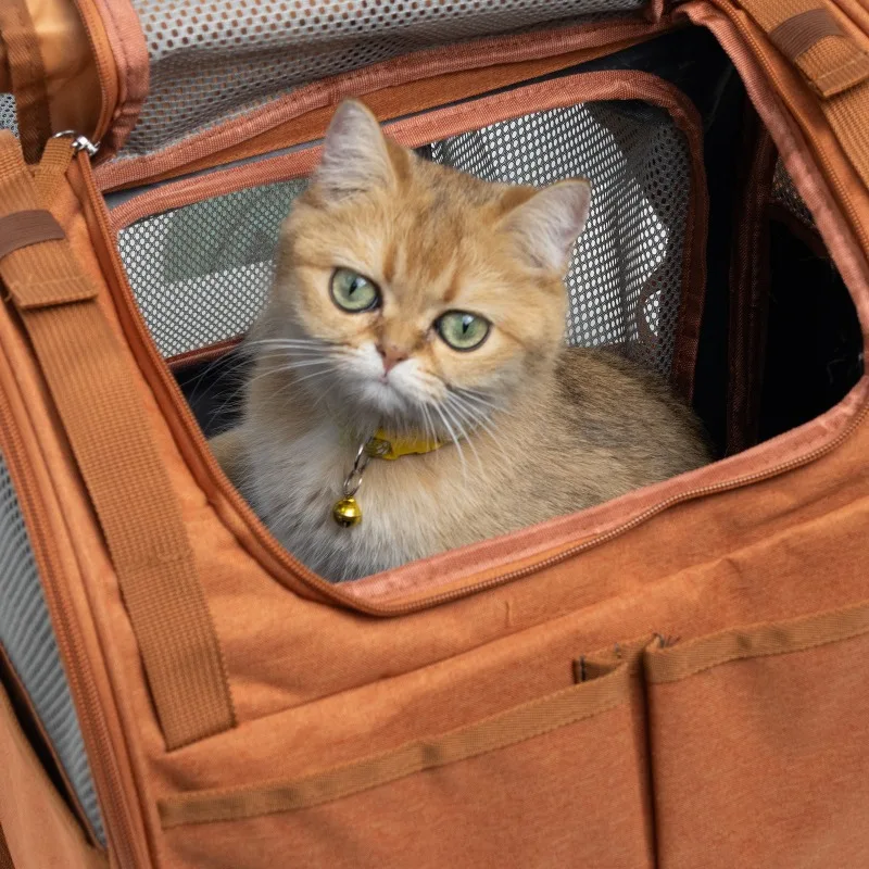 رائجة البيع حقيبة ظهر جديدة لحمل الحيوانات الأليفة مع ستائر ظلة شبكة PVC للقطط والكلاب حتى 13bs وسادة قابلة للإزالة مقاومة للخدش