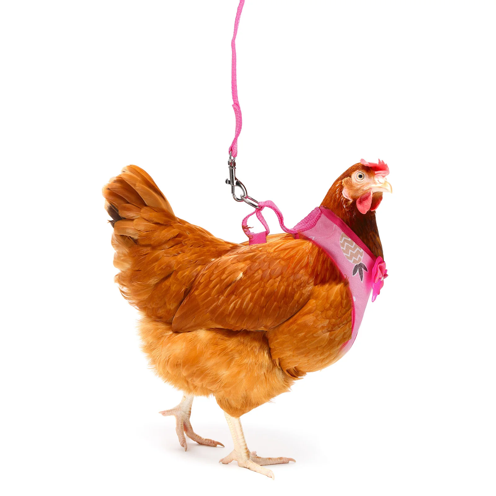 

1Set Adjustable Chicken Leash and Harness Set for Pet Hen Outdoor Walking Comfortable Rooster Pulling Rope Hen Leash