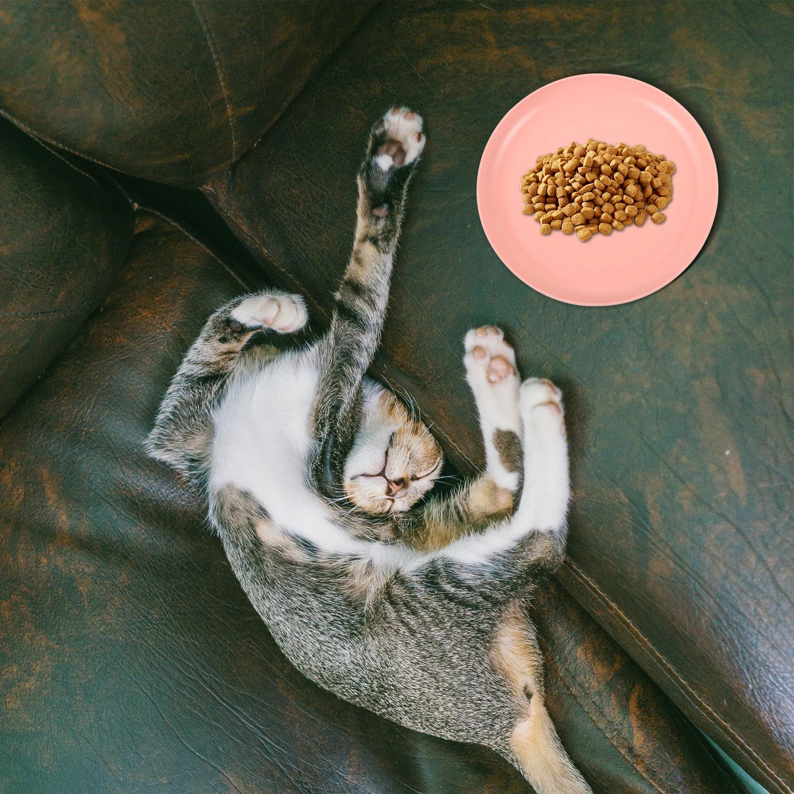 

4Pcs Cat Food Bowl Set Plastic Durable Round Flat Feeding Dish Non Slip Base Easy Clean Dishwasher Safe Cat Feeding Plate Indoor