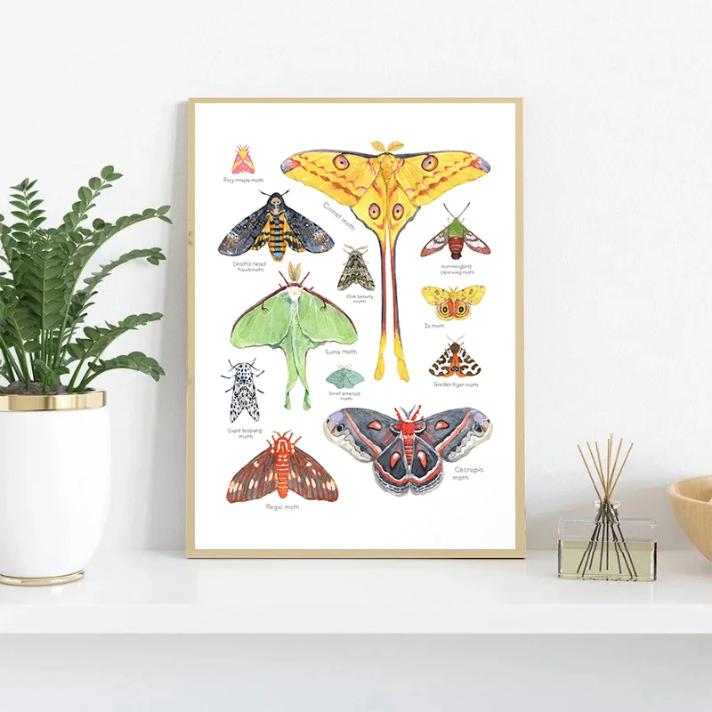 Insects Beetles Bugs Moth Chart Watercolor Posters and Prints Canvas Painting Modern Wall Art Picture for Living Room Home Decor