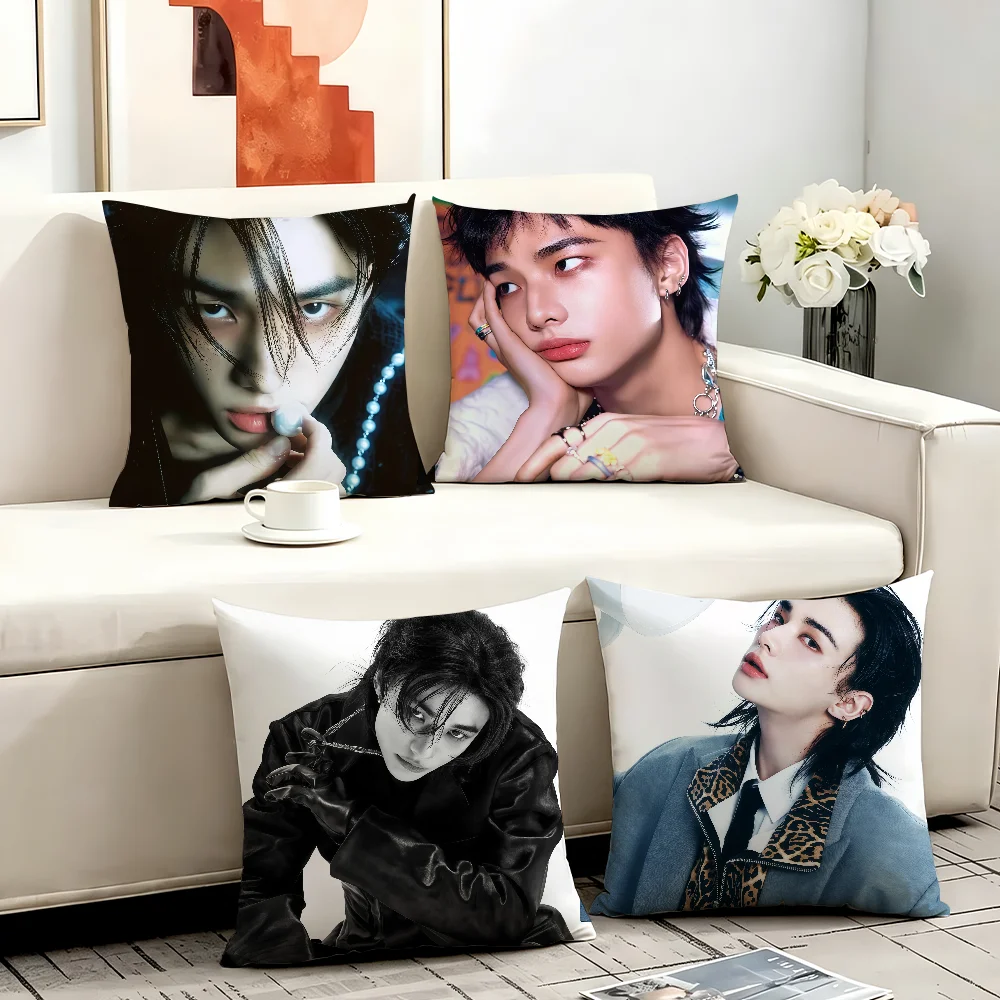 Singer cushion cover Anti-dustmite Sofa Cushion Decorative Office Cover H-Hyunjin Lounge Area Indoor & Outdoor Use