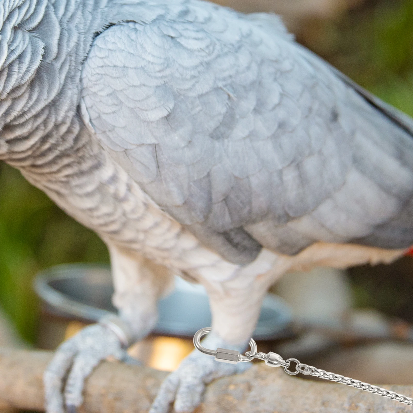 

Stainless Steel Chain For Size 4 Thin Durable Anti-Off Ankle Ring Pet Parrot Cockatiel Safety Anklet Birds Foot Anklet