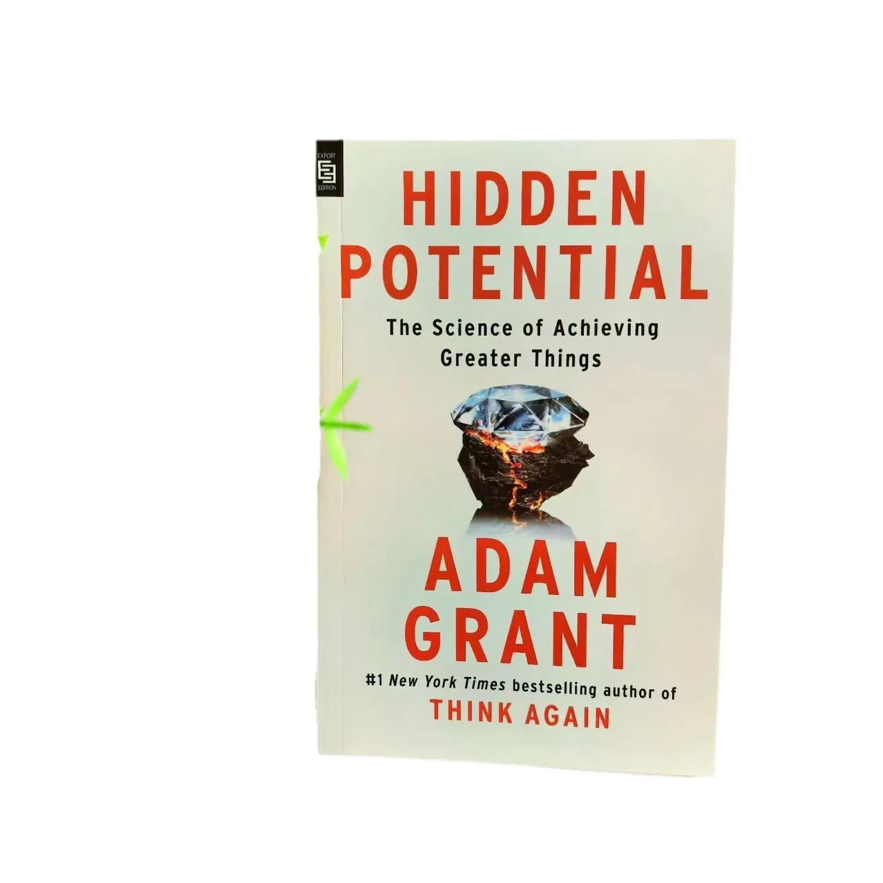 Hidden Potential: Science for Achieving Greater Achievements Adam Grant Adam Grant Personal