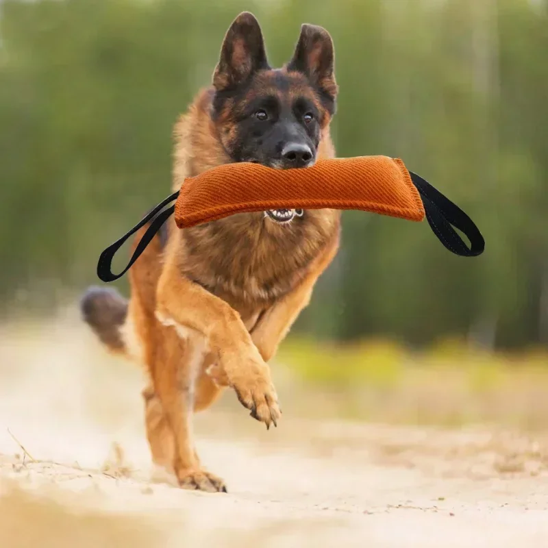 Langlebiger Hundebissstab Kreatives Hundezerrspielzeug Rutschfestes Verschleißfestes Hundetrainingsspielzeug mit Flachsbezug – Detail 5