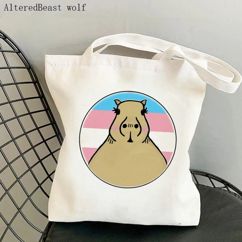 여성 구매자 가방 Pomosexual 프라이드 LGBT 가방에 귀여운 Capybara 하라주쿠 캔버스 구매자 가방 소녀 핸드백 토트 숄더 레이디 백