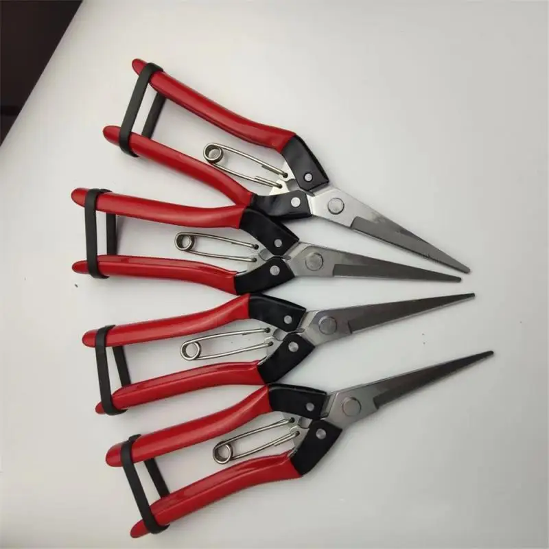 Fruit Picking Shears Useful Ease Of Use Comfortable Grip Non-slip Handle Ergonomic Design Flower Pruning Garden Fruit Shears