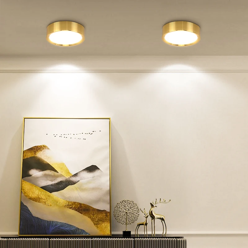 Ceiling Downlight Gold 15W 25W Led Spot Light Surface Mounted Ceiling Lamp Ultra Thin Ceiling Light Living Room Ceiling Lighting