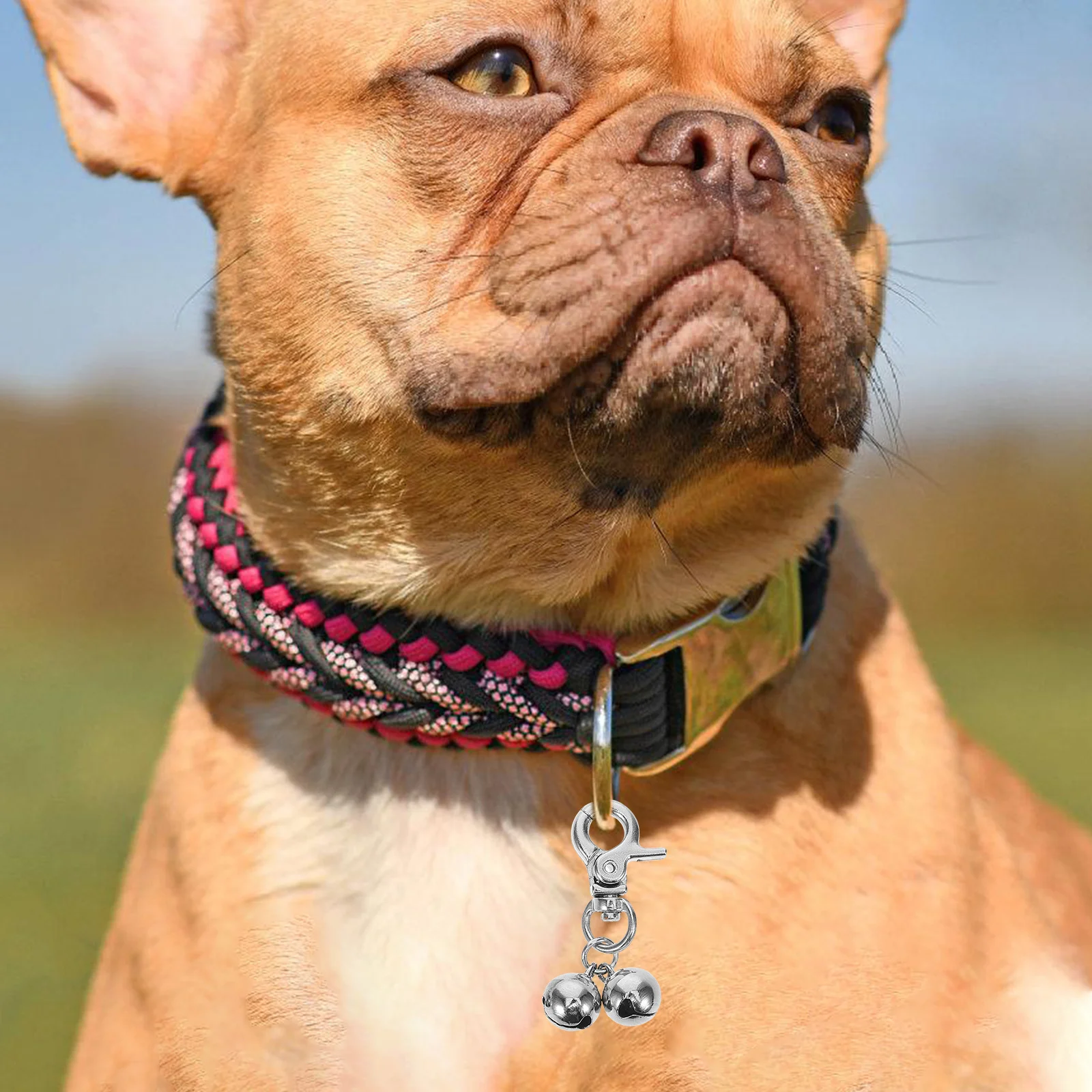 

2pcs Pet Collar Bells Stainless Steel Dog Tags Rings Loud Crisp Sound Wear-Resistant Decorative Cat Accessories Multi-Function