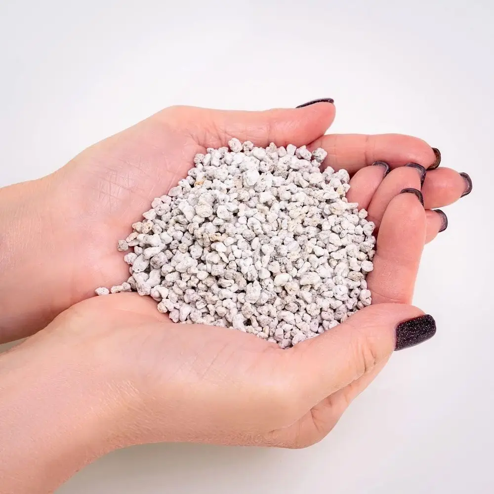 Organic Perlite - Medium Grade Horticultural Soil Amendment for Indoor & Outdoor Plants, Drainage Management, Enhanced Growth (2
