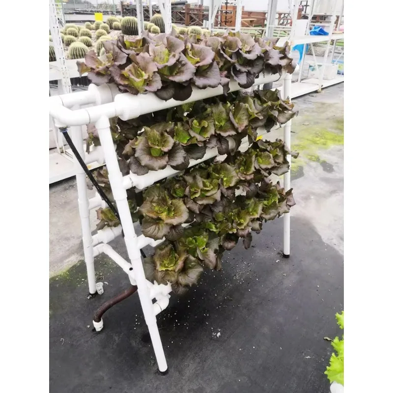 Indoor Hydroponic NFT System Planting Vegetables Double Sides