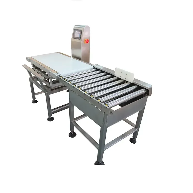 Conveyor Belt Check Weight Machine for Large Package Products Manufacturer
