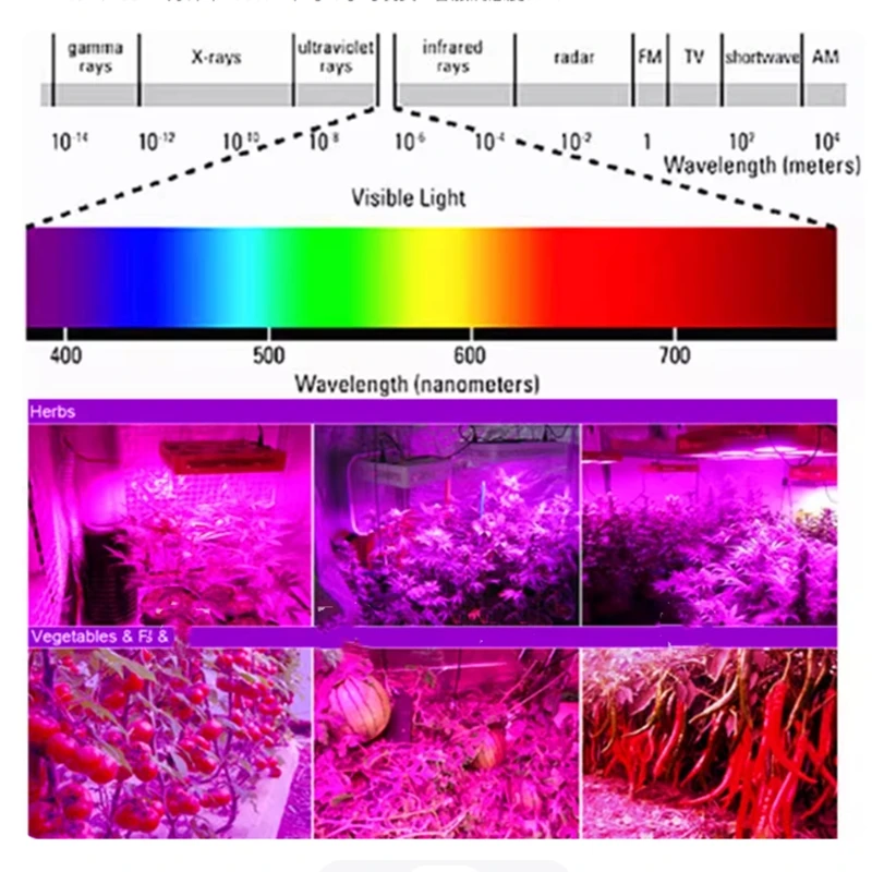 High power LED1W3W full spectrum to promote plant growth LED bead quality light source 400-840NM white light pink natural white