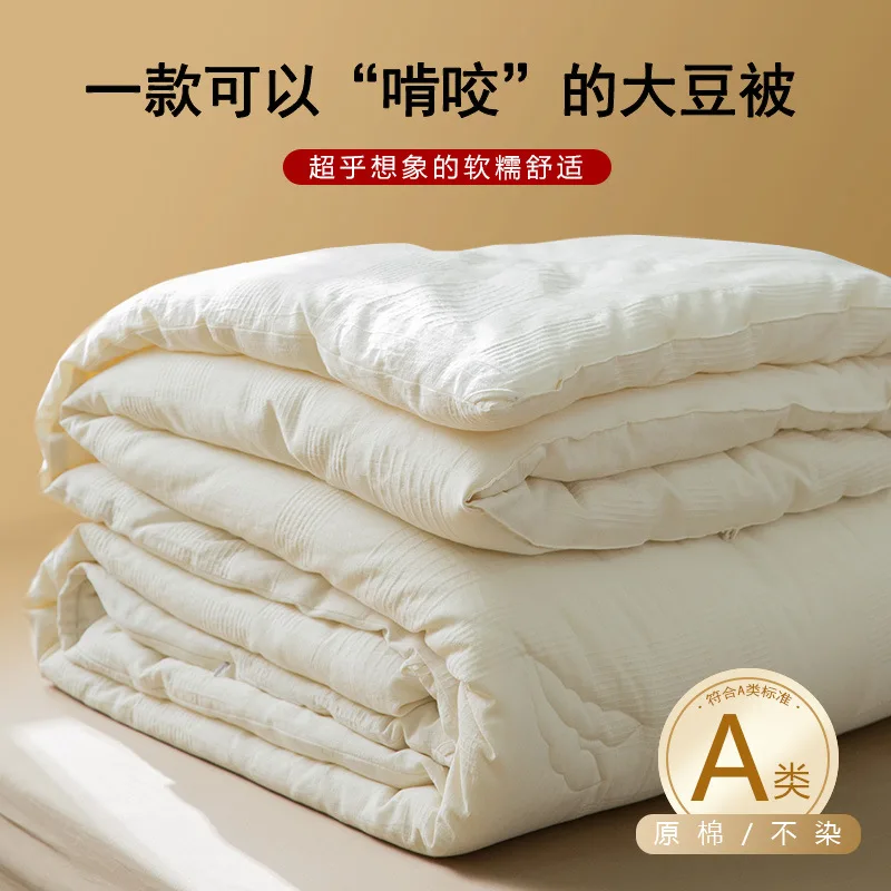 

Pure Cotton Soybean Fiber Quilt White Cotton Bed and Breakfast Hotel Quilt Autumn and Winter Thickened Soybean Quilt Core