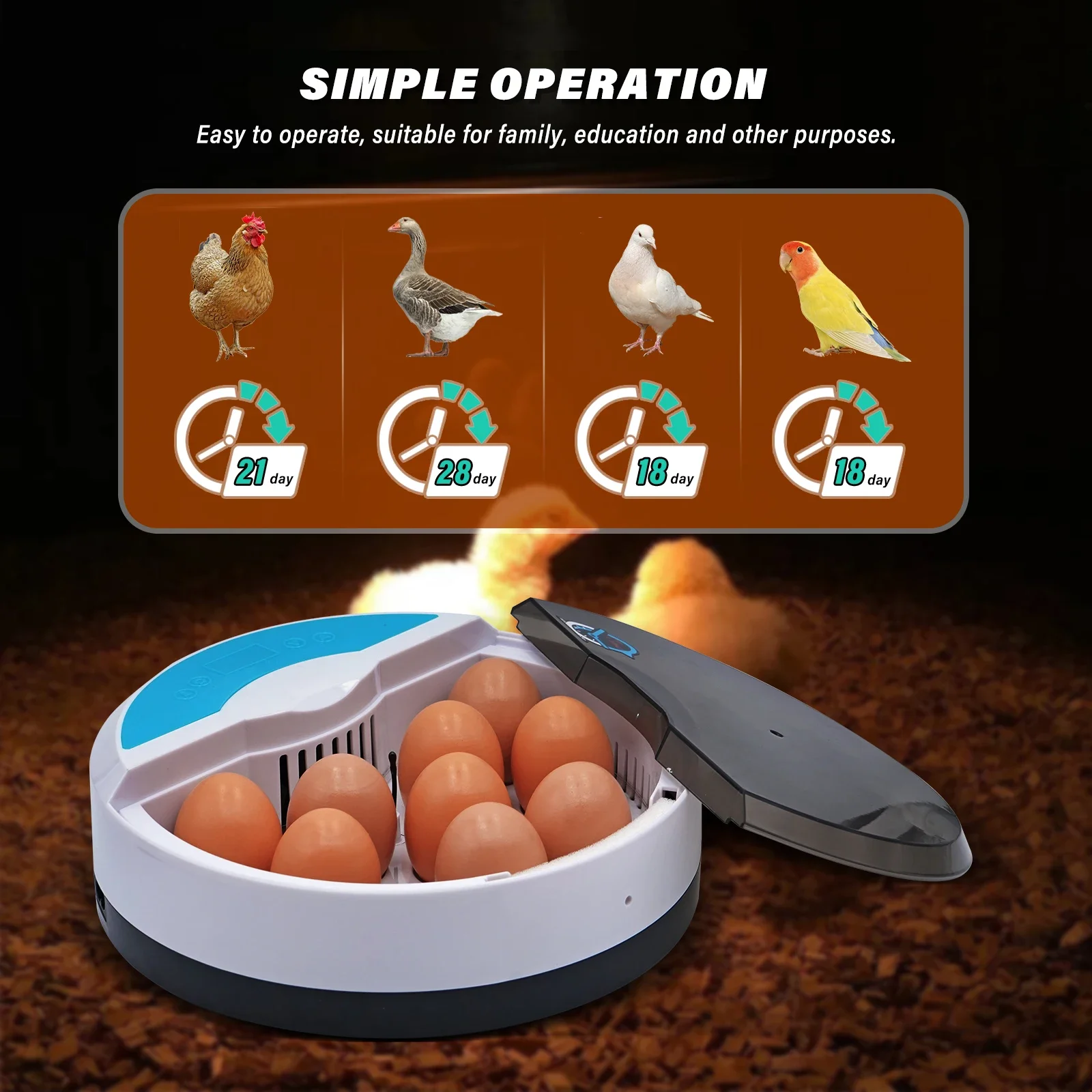 9 Mini Eggs Incubator Brooder Bird Quail Chick Hatchery Incubator Poultry Hatcher LED Temp Control Home Farm Incubation Tools