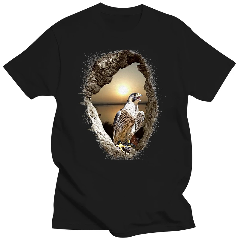 Peregrine-Sunset-Splash-bird prey dtg mens t shirt tees Comfortable t shirt Casual Short Sleeve Print tees cheap wholesale