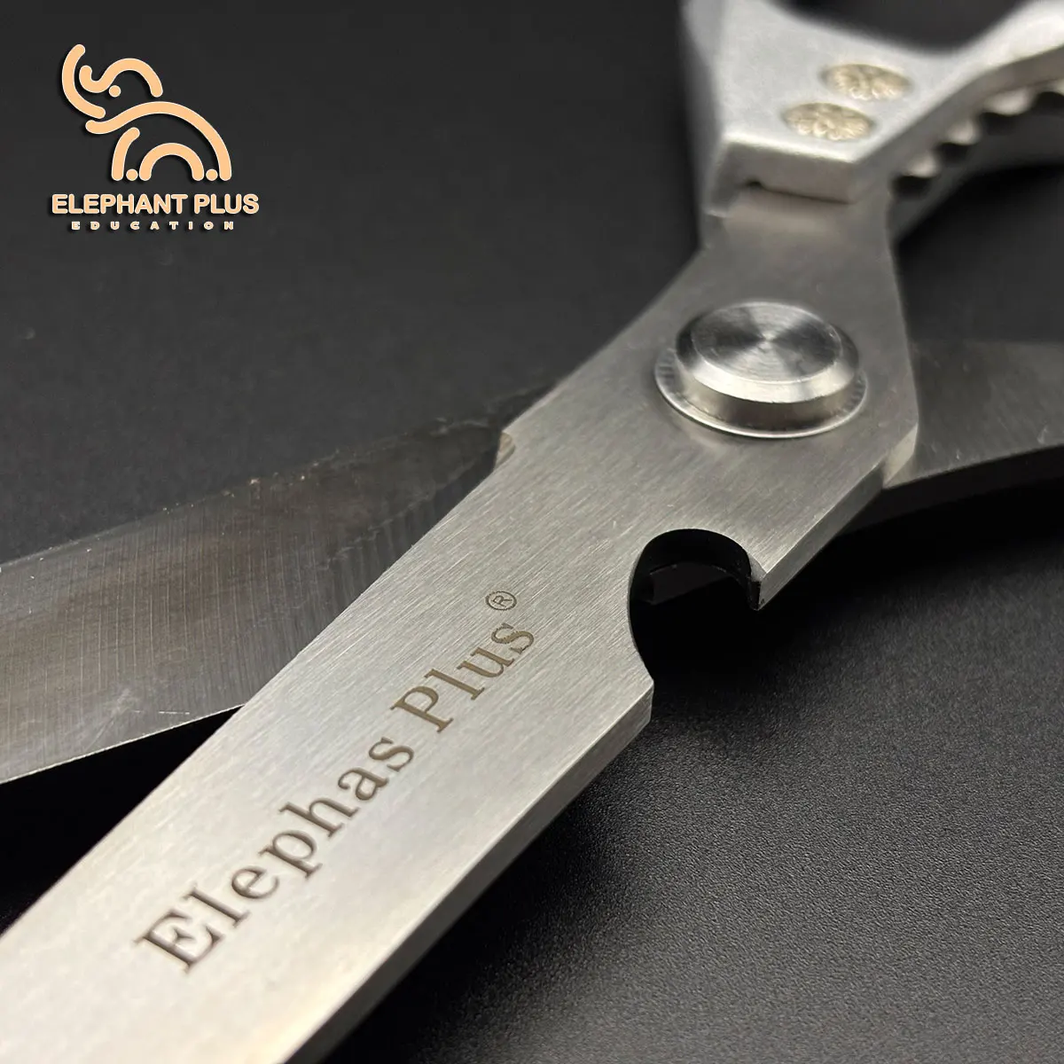 HEAVY DUTY Kitchen Shears - Stainless Steel Scissors for Cutting Chicken Bone, Fish & Poultry, Multipurpose Household Scissors