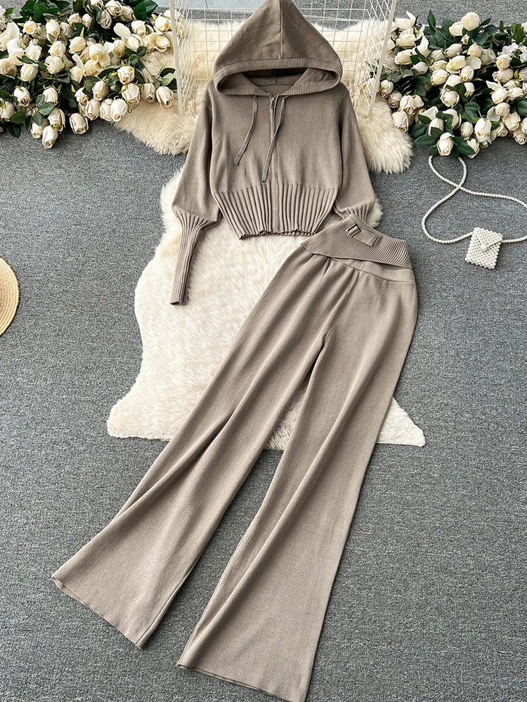 TWOTWINSTYLE Solid Casual Two Piece Set For Women Hooded Long Sleeve Coats High Waist Straight Loose Pant Chic Set Female Autumn