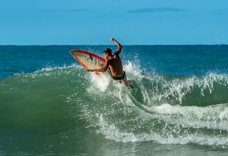 Gemfan 31mm 1220 0.8mm/1mm 홀 4-블레이드 프로펠러 PC CW CCW 프로프 0703-1103 전기 모터용 FPV 마이크로 드론