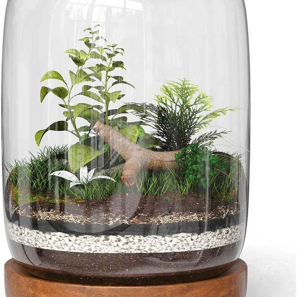 

Эксклюзивный стеклянный террариум, красиво расширенный крышкой и основанием из натурального дерева. Отлично подходит для растений и украшений. для дома