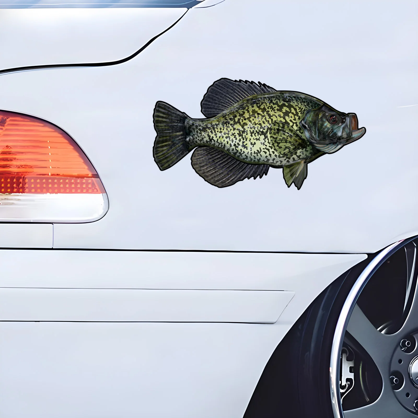 70109# Black Crappie Car Sticker, Waterproof Vinyl Material Accessories, Interesting For Cars, Trucks, Motorcycles, Walls