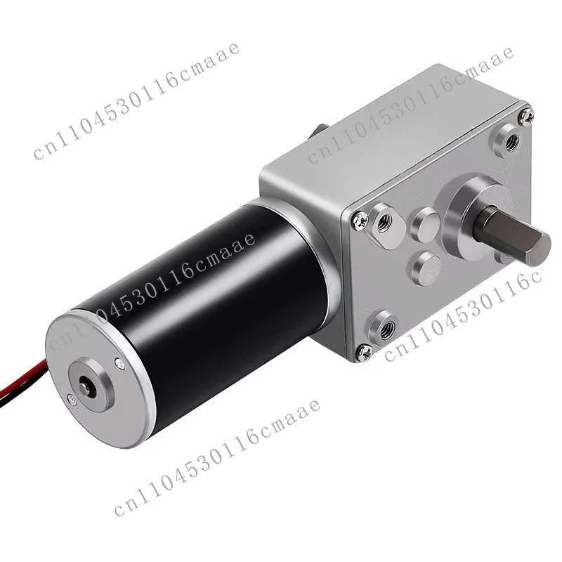 XYT 5840-31ZY 31ZY 3157Dc Power High Torque Tilt 12V 24V DC Worm Gear Dual Shaft Motor