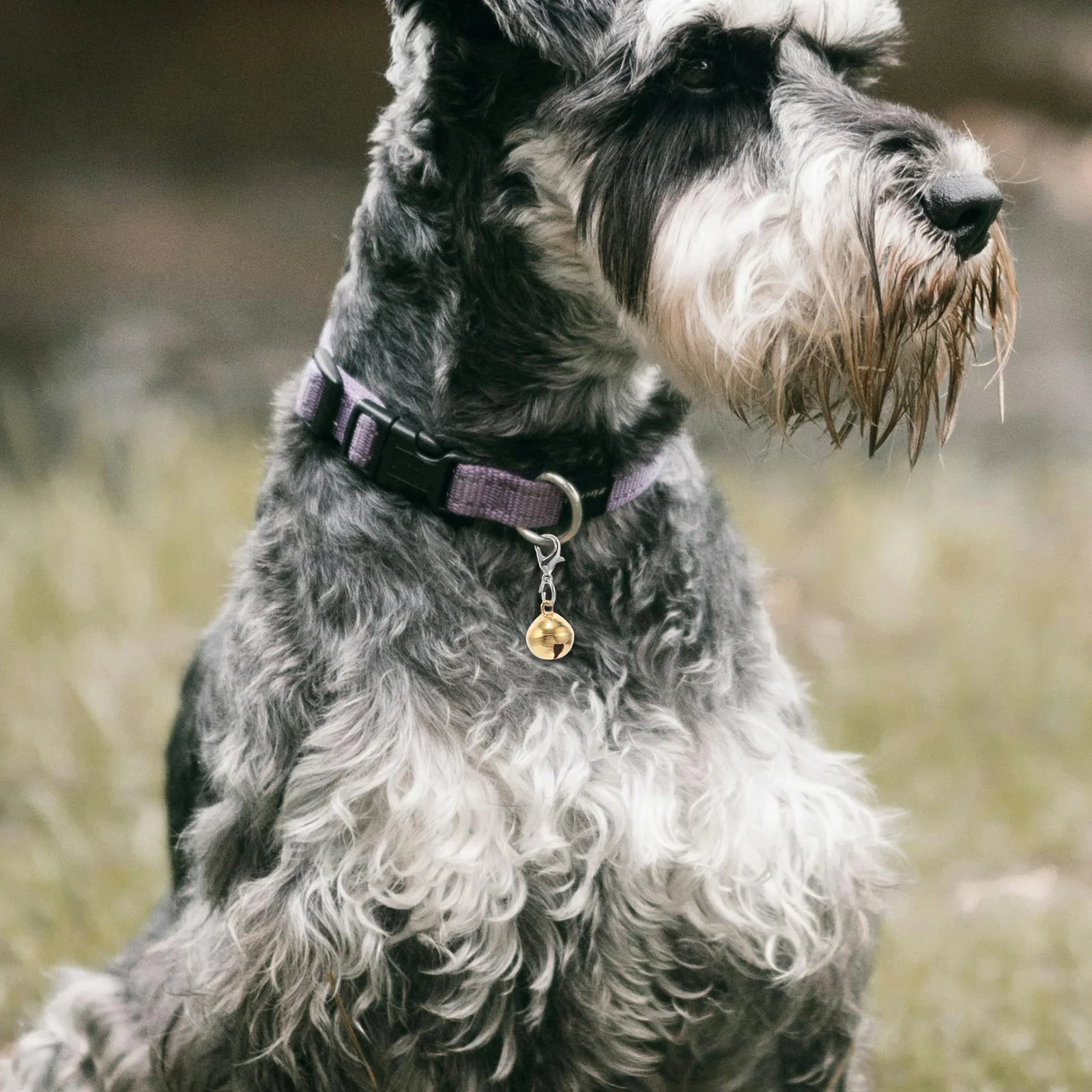 

20Pcs Colorful Metal Pet Bells for Dog Cat Collar DIY Charm Accessories Lobster Clasp Pendant Craft Decoration