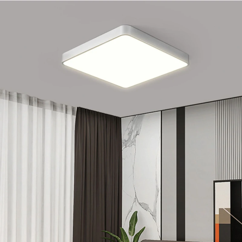 Modern Led Ceiling Light Lamps for Bedroom Corridor Aisle Balcony Living Room Bathroom Stuy Home Decor Indoor Lighting Slivery