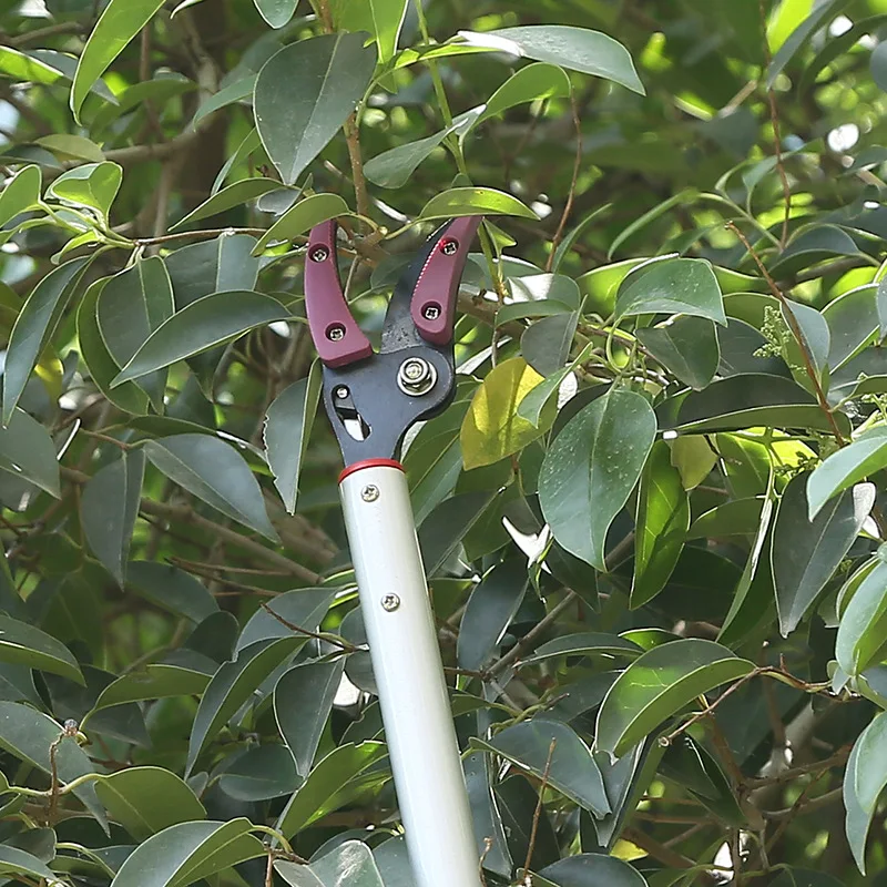 

Multifunctional retractable fruit picker, high-altitude thick branch fruit picking shears, garden high branch elbow pruning tool