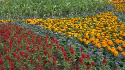 

Задний колесный держатель для WLtoys 1/24 244016 LOSI 1/24 Micro-B, металлические аксессуары для тюнинга радиоуправляемых машинок