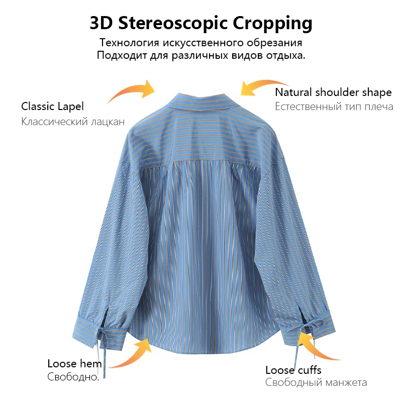 Blau gestreiftes Damen-Langarmshirt mit Schleife und Schleife, süßes und lässiges, vielseitiges Oberteil