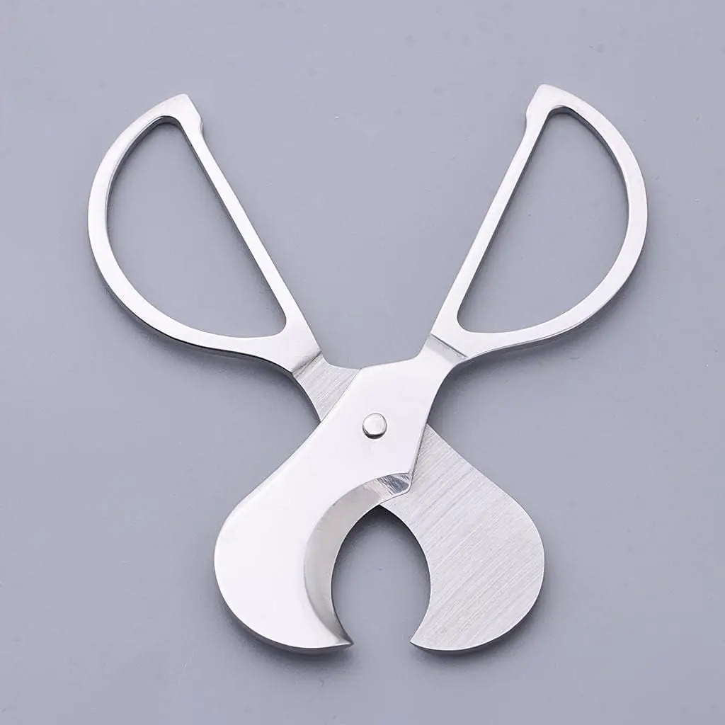 Stainless Scissors, Steel Guillotine Double Blade Straight Cut Scissors  Accessories Birthday Gift