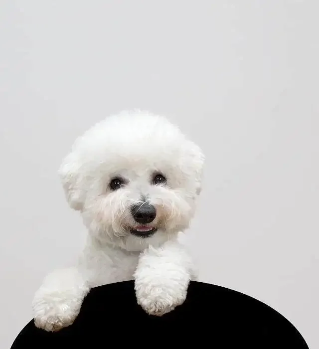 

Car Cover For AITO M9 - Outdoor Full Body Protection, Waterproof Dustproof Heat-Resistant, All-Season Use Exterior Accessories