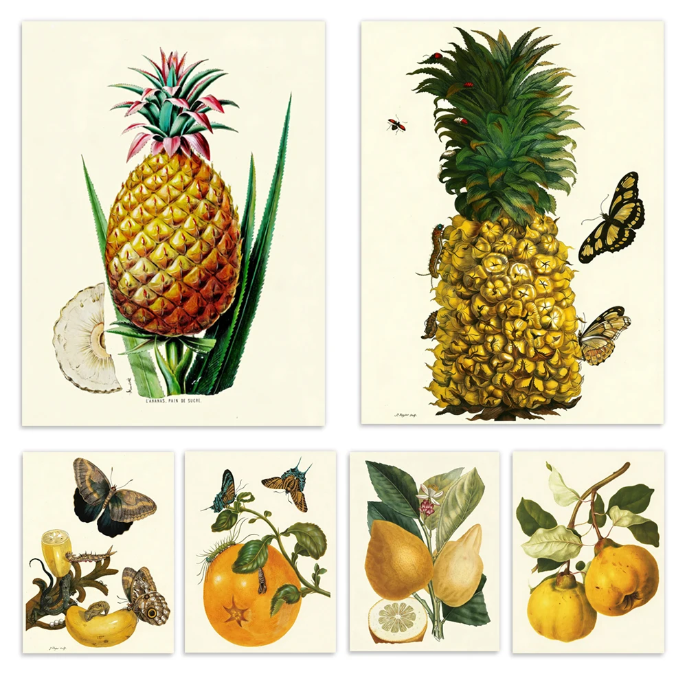 Melones de estilo retro, frutas cítricas, naranjas, flores tropicales, mariposas, hibisco, piña, papaya, plátano, carteles de plantas.