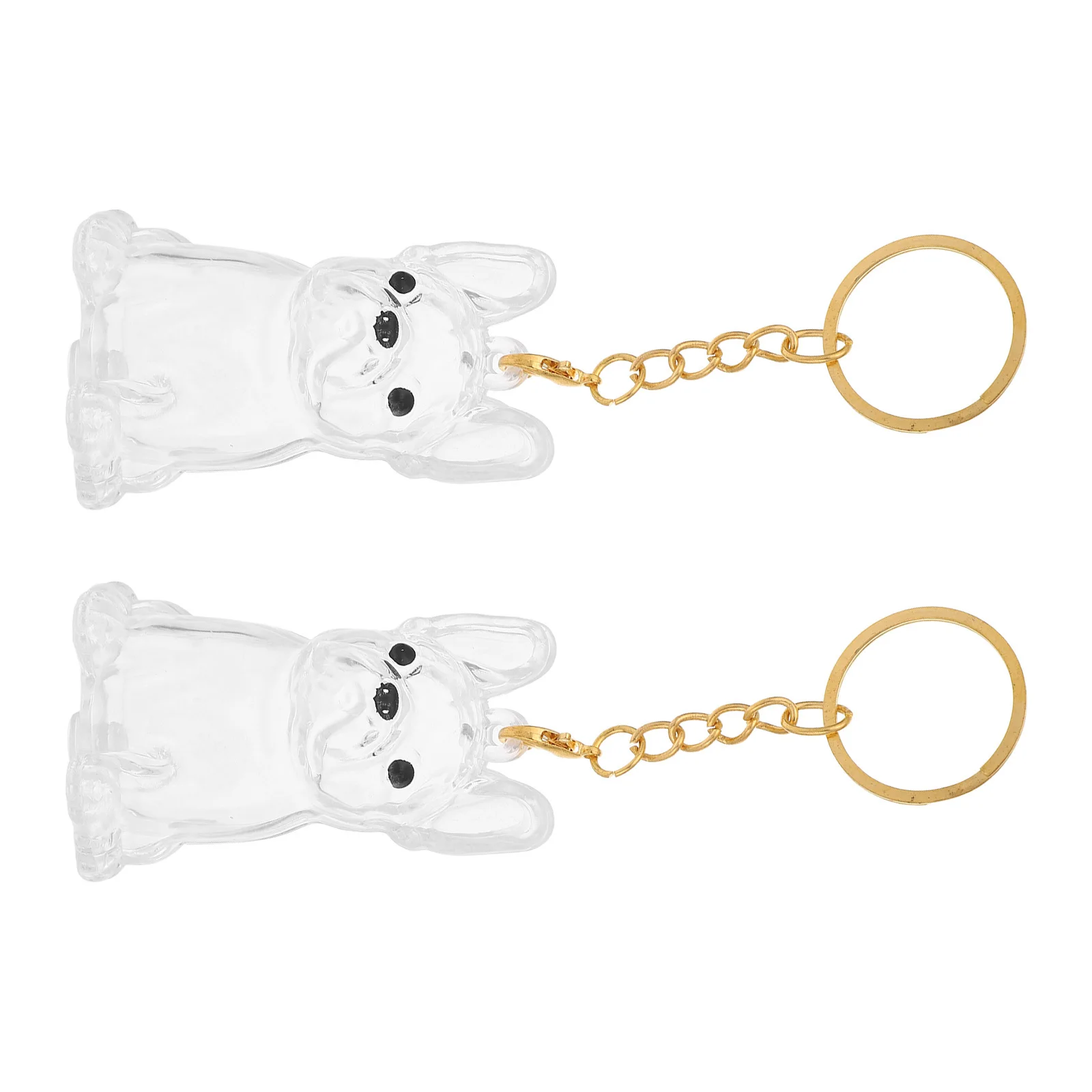 

2pcs Dog Hair Storage Box: Transparent Hair Keepsake Keychain Mini Urn Pendant For Pet Ashes Memorial Locket Capsule