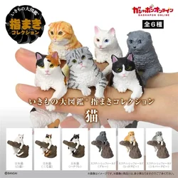 In Stock Japanese Genuine Cat Kawaii Cute Simulation Small Animal Action Figure Gashapon Toy on Fingertips