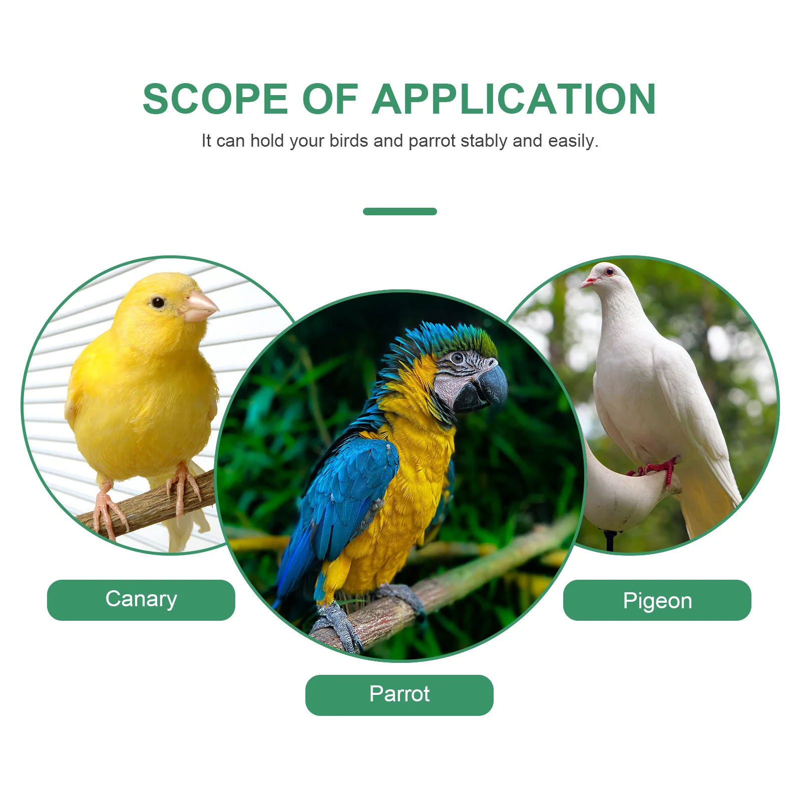 

4Pcs Bird Living Nest Strong Plastic Parrot Rest House Washable Hanging Nest for Pets Homes Zoos Aviaries Green