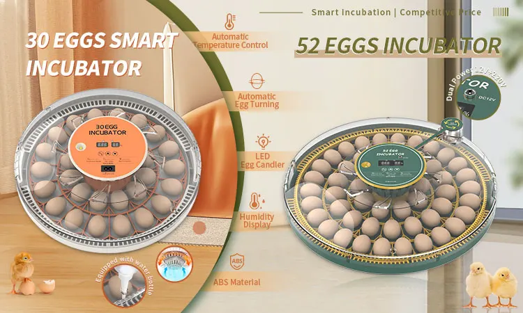 Wonegg fabrieksprijs 30-eieren kleine mini-eiercapaciteit uitbroedmachine volautomatische eierincubators