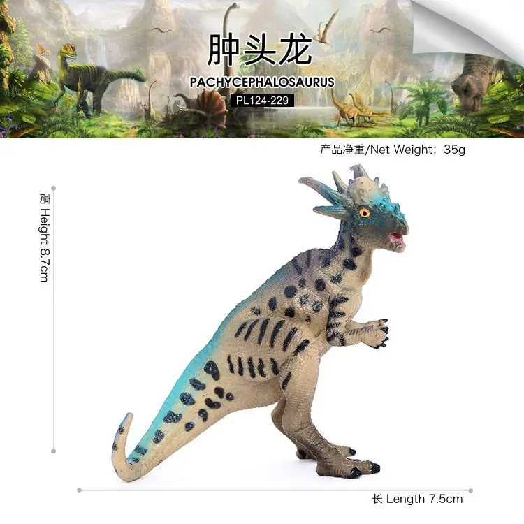 محاكاة الديناصور الجوراسي نماذج للحيوانات Pachycephalosaurus ديناصور لعبة بلاستيكية الصلبة نموذج للأطفال حلية المعرفية #6