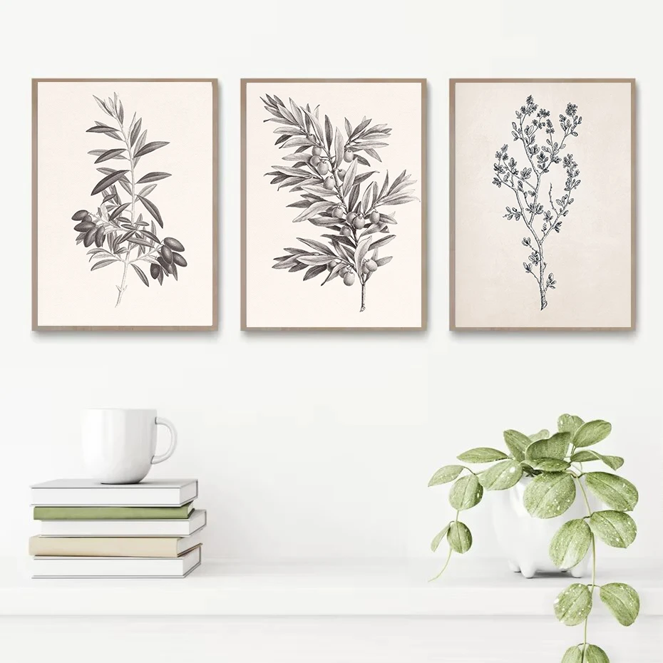 Apple Garlic Daisy Blossom Olive Branch Sketch Poster Print Vintage Botanical Drawing Canvas Painting for  Kitchen Room Decor