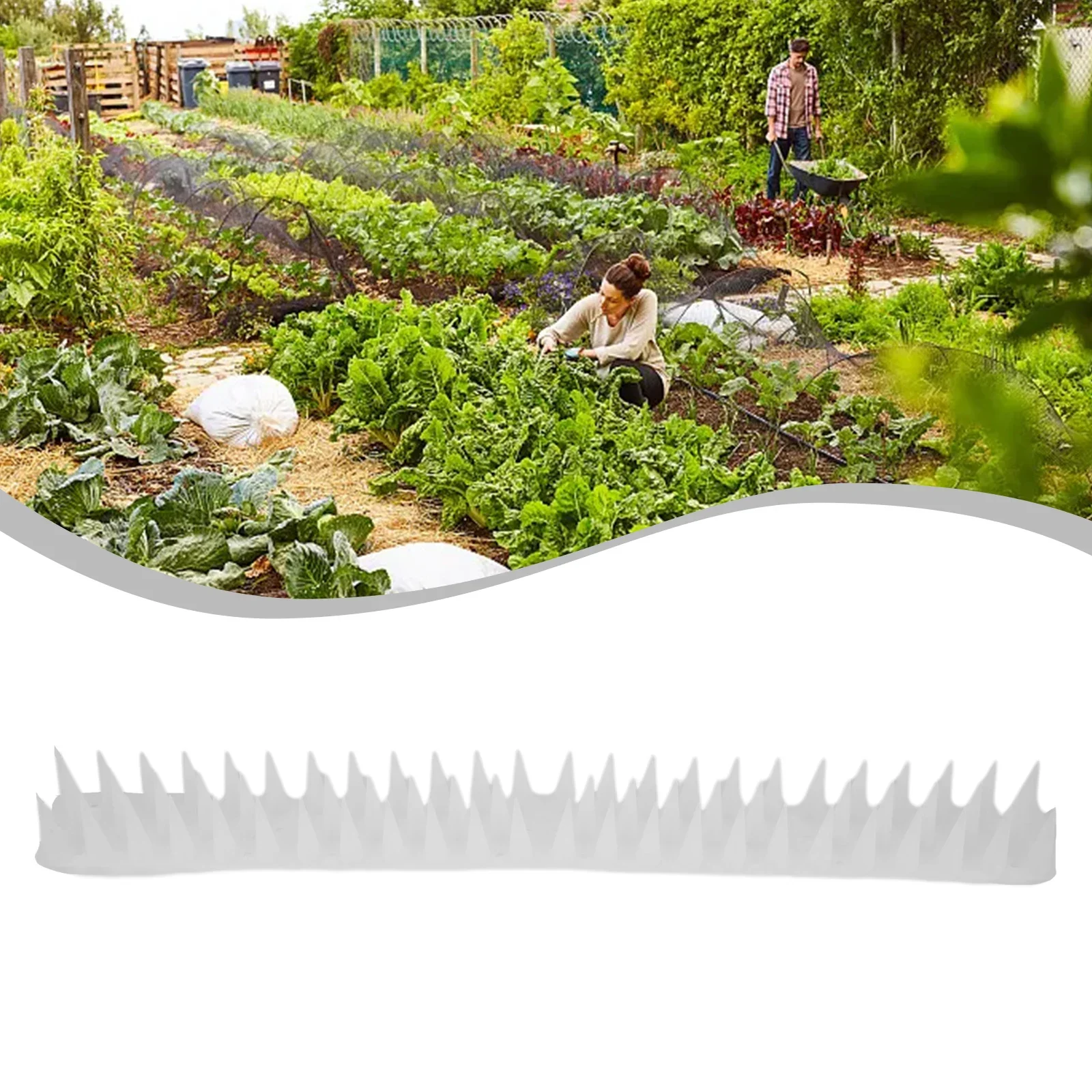 `Bird Spike `45cm Plastic Long `Pigeon Deterrent `Bird Deterrent` Spikes High `Cat Repellent `Spikes Garden Security