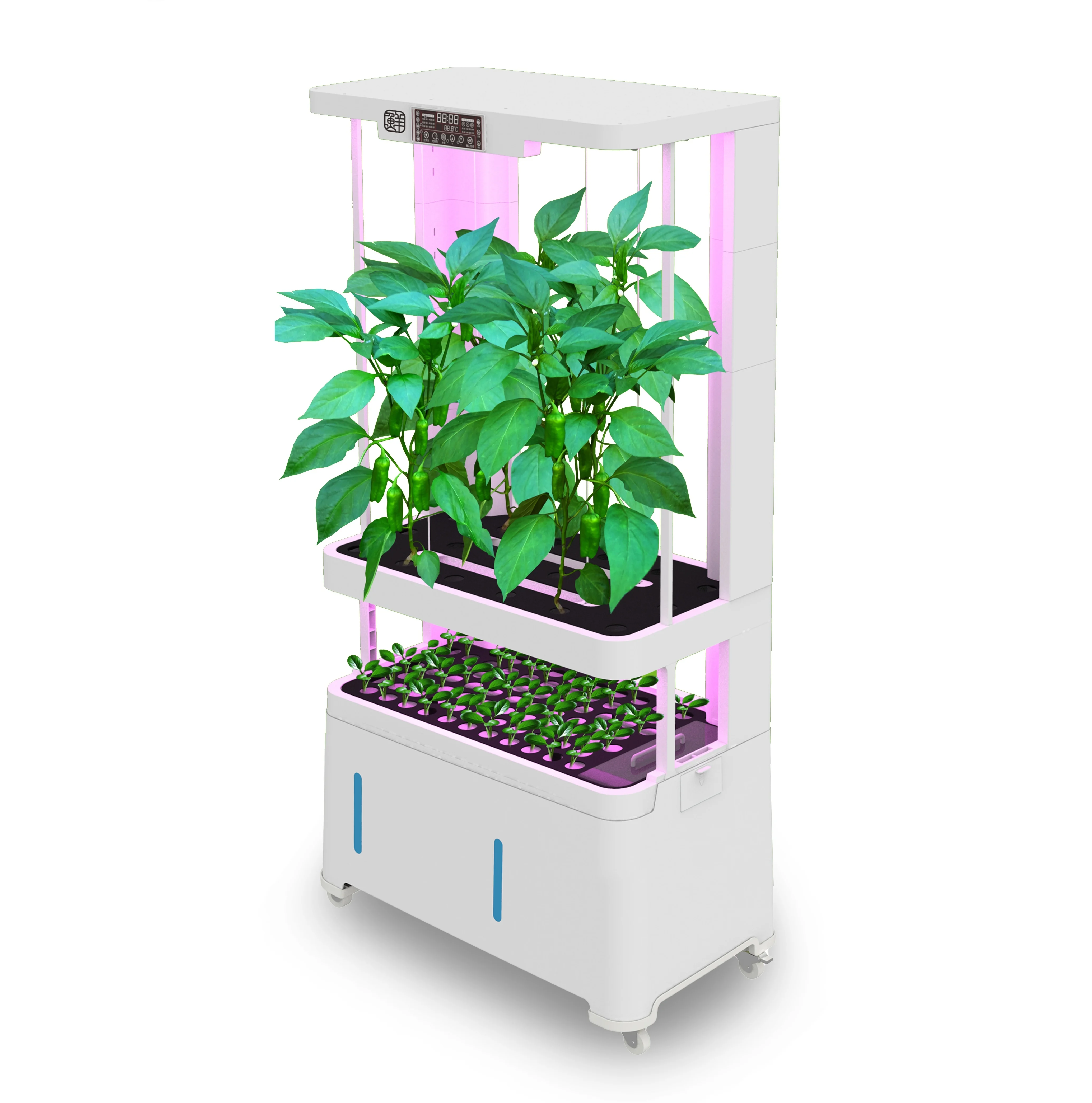High Quality Smart Raised Vegetable Planter Home Growing Hydroponic System for Cucumbers and Tomatoes