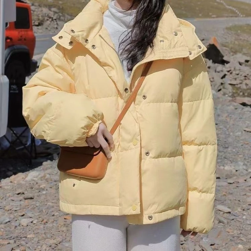 ملابس نسائية جديدة مبطنة بالقطن ملابس قصيرة مبطنة بالقطن سترات فضفاضة مبطنة بالقطن للشتاء سترات بغطاء للرأس #2