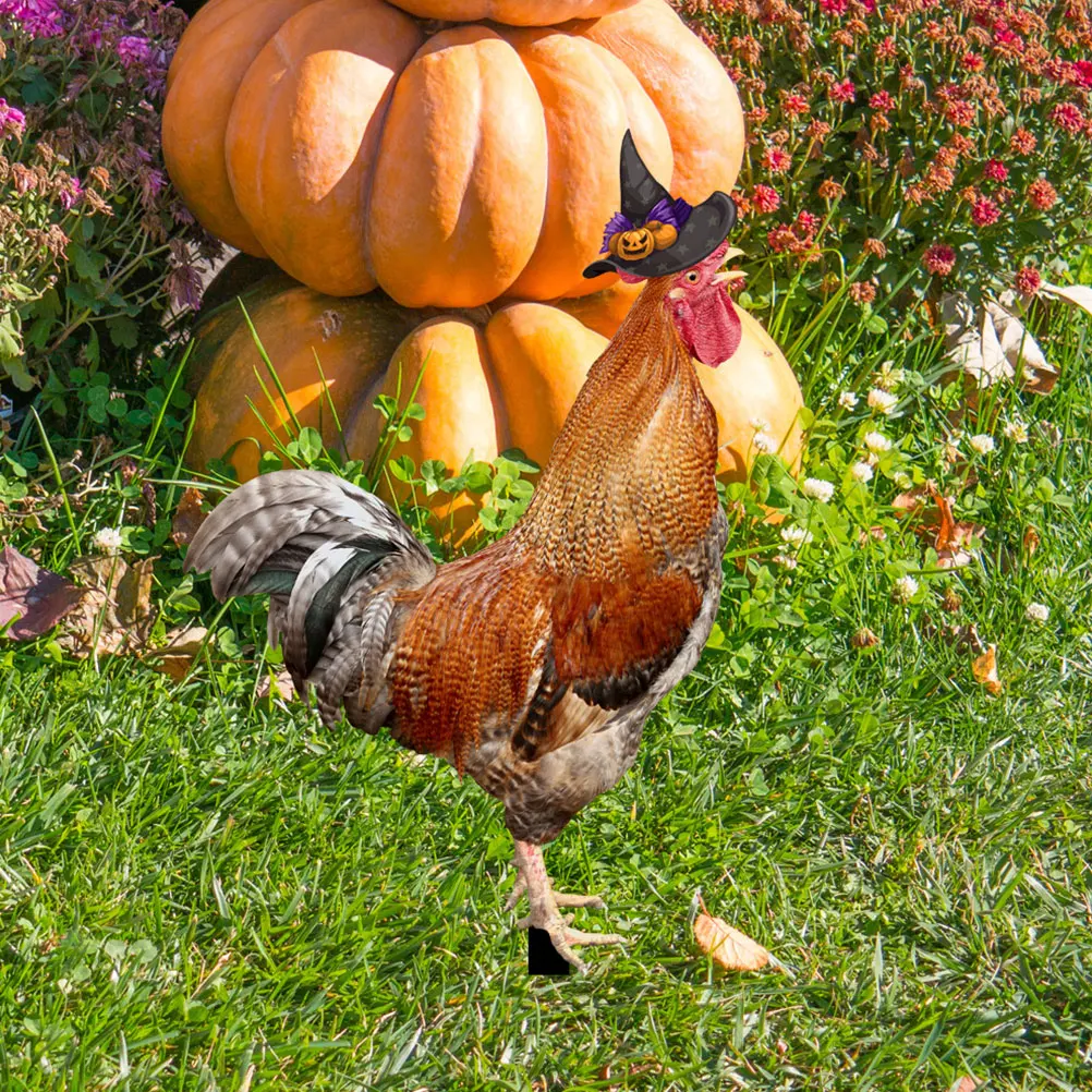 

3pcs Chicken Garden Stakes Lovely Yard Art Lawn Decor Outdoor naments Acrylic Material Durability Easy Installation