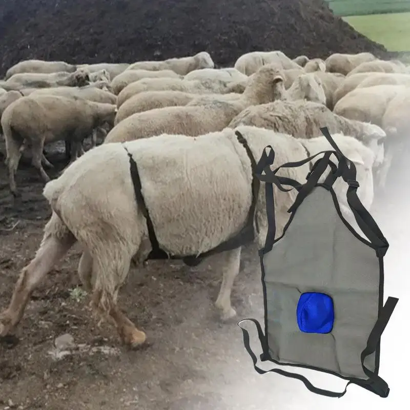 Anti Mating Apron For Goats Breathable Breeding Control Goat Anti Mating Apron Livestock Clothing Sheep Goat Weighted Apron For