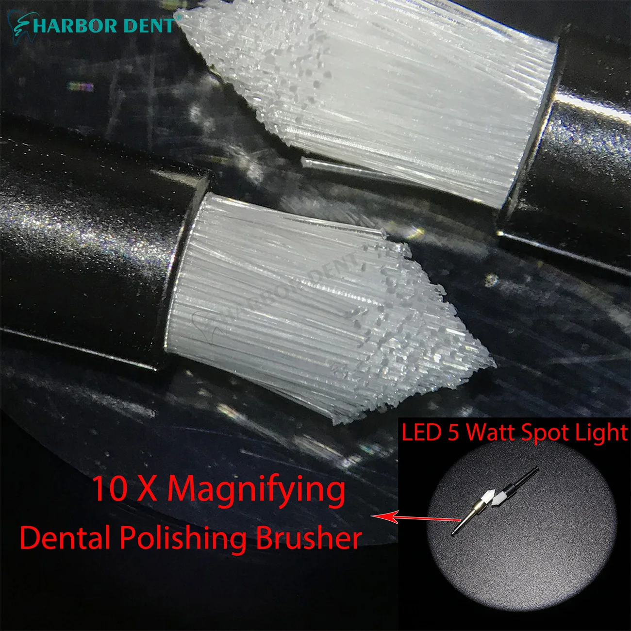 مشبك مجهر مجهر ثنائي العين محمول على الطاولة مجهر قناة الجذر Dentsitry معدات مختبر التخصيص