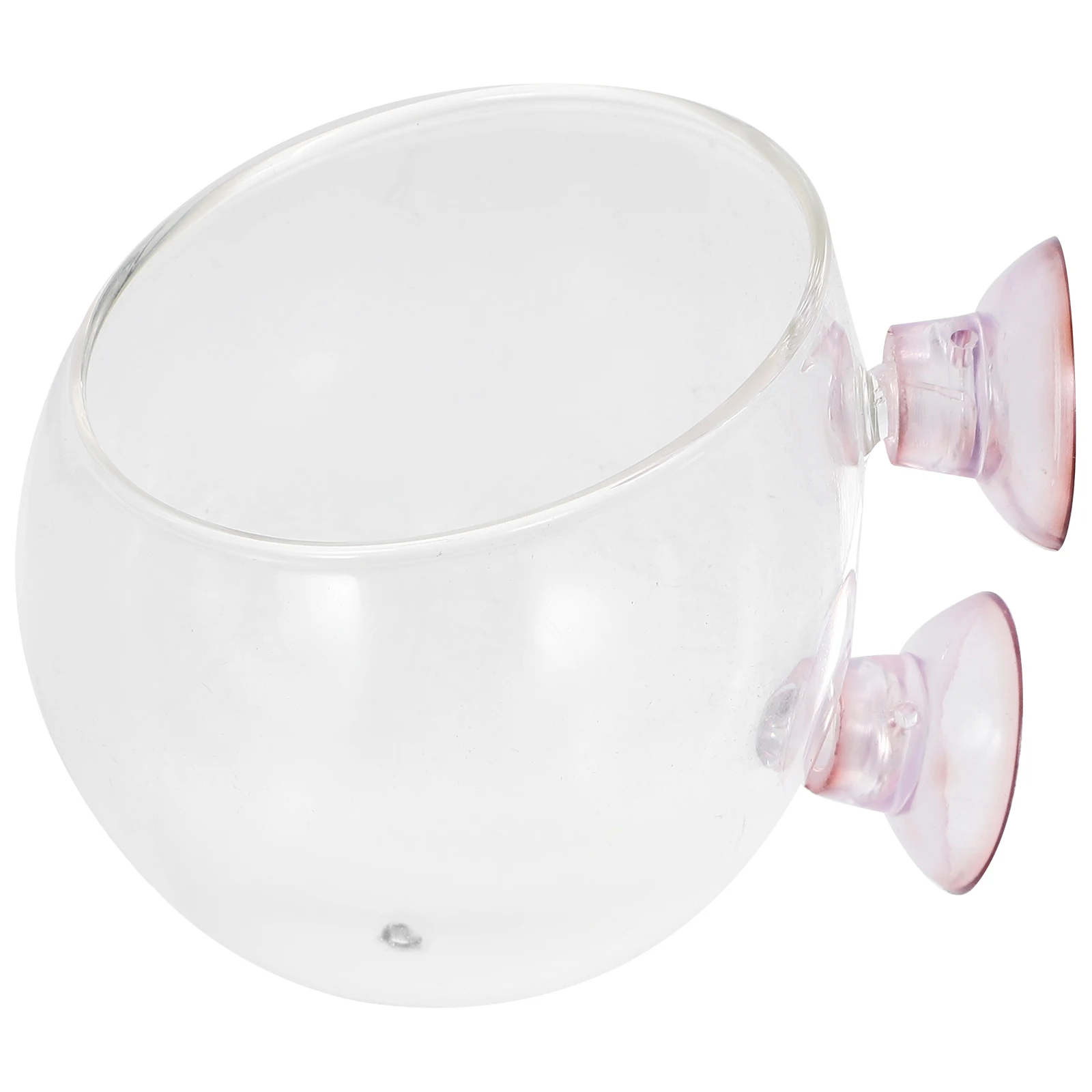 

Mini Potted Plant Fish Tank Aquarium Bowl Suction Cup Aquatic Holder with Pots for Plants