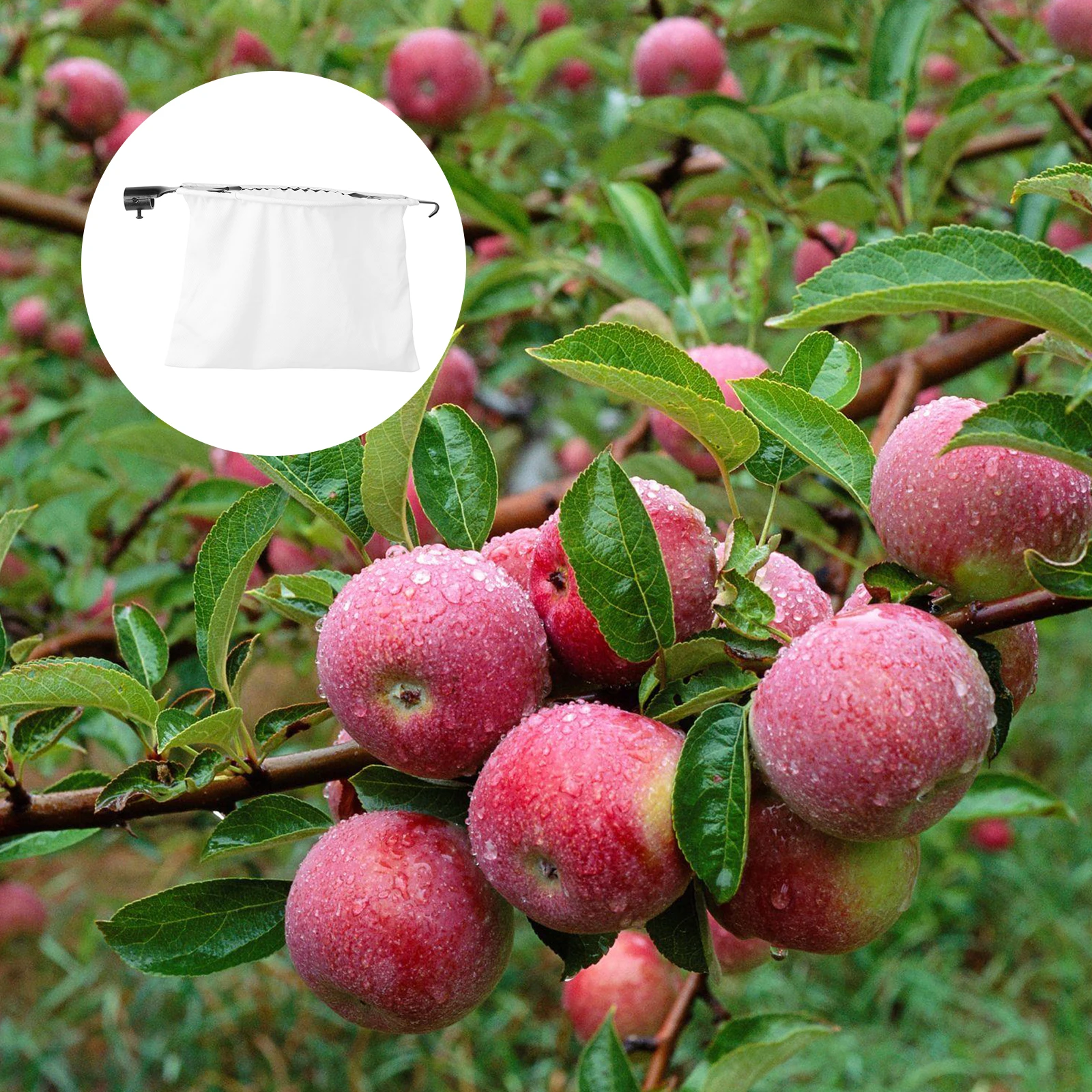 

Blade-Shaped Fruit Picker Tool Harvester Garden Basket Hook Push Easy Pick Attachable Flagpole Length Adjustable