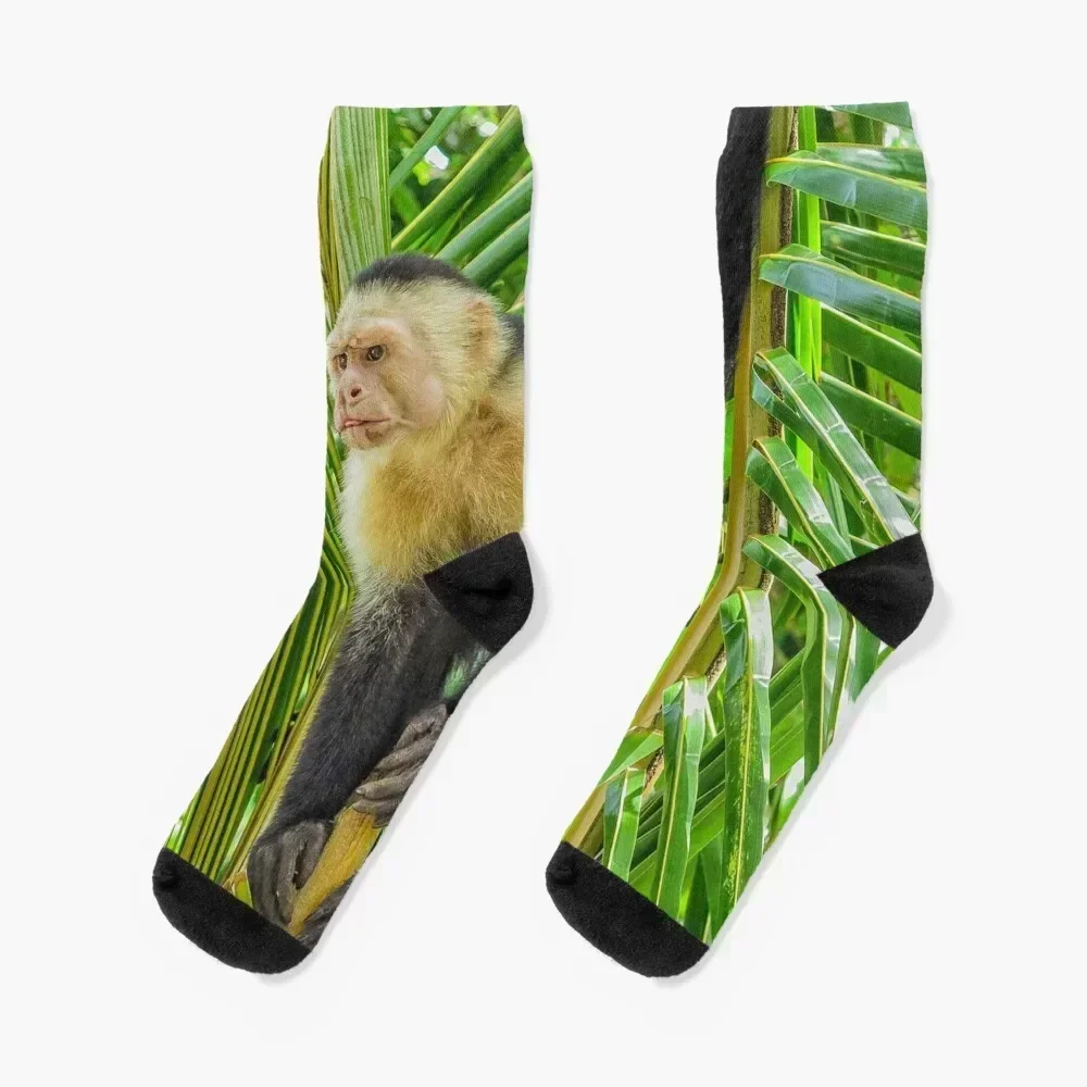 

White faced monkey in a tree Socks Antiskid soccer Christmas men cotton high quality Girl'S Socks Men's