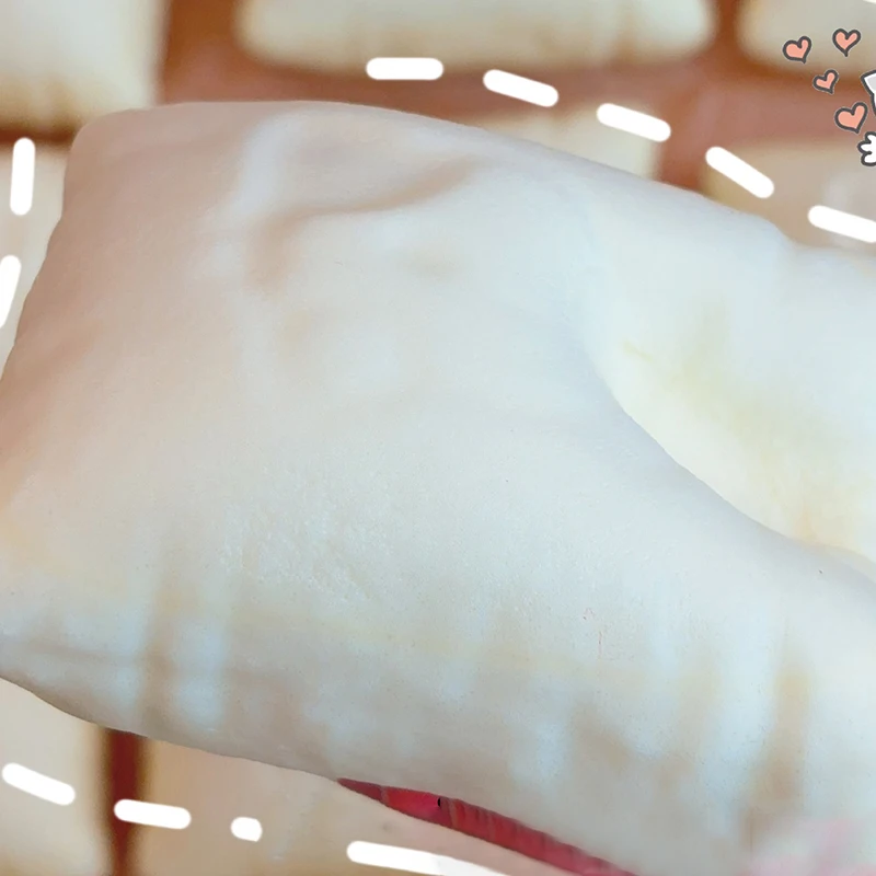 Kitten Kussen Langzaam Stijgend Langzaam Rebound Speelgoed Simulatie Biscuit Stress Release Hand Relax Gift